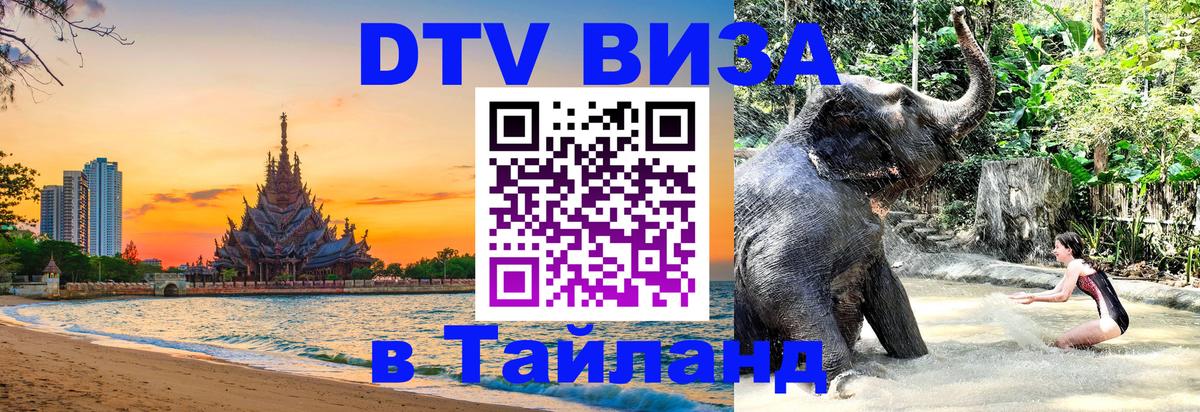 Оформление DTV визы под ключ: стоимость и тарифы, только загранпаспорт - 